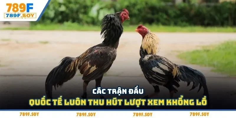 Các trận đấu quốc tế luôn thu hút lượt xem khổng lồ