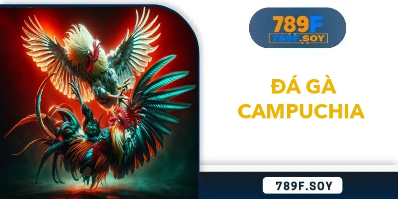 Đá gà Campuchia cực đỉnh