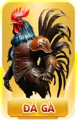cockfight