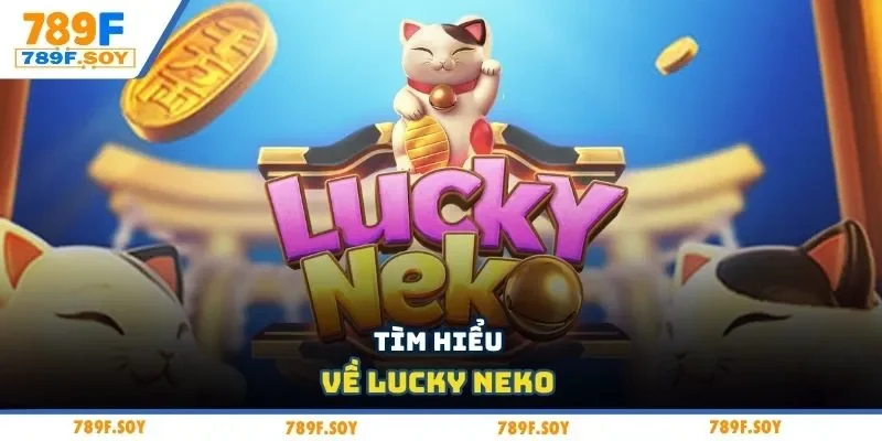 Tìm hiểu về Lucky Neko