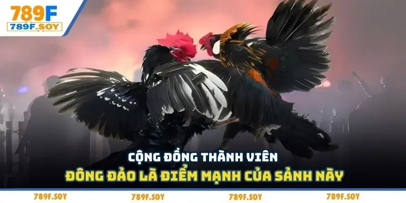 Cộng đồng thành viên đông đảo là điểm mạnh của sảnh này