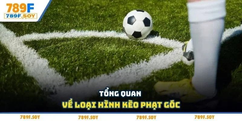 Tổng quan về loại hình kèo phạt góc