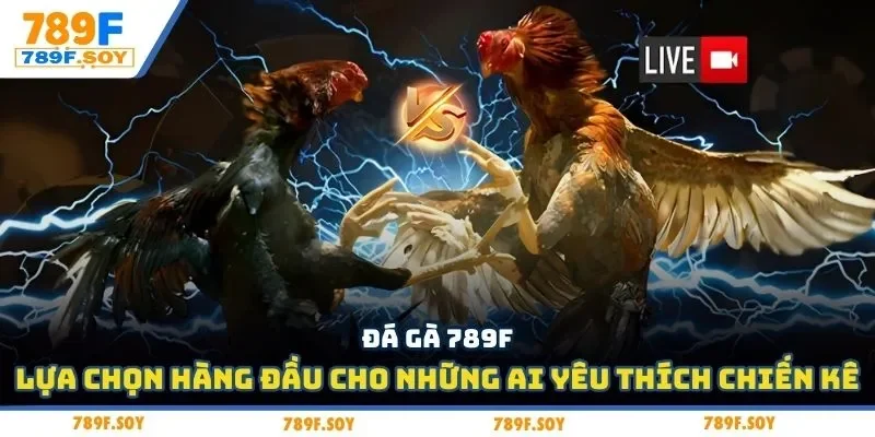 Đá gà 789f - Lựa chọn hàng đầu cho những ai yêu thích chiến kê